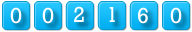website hit counter