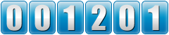 web counter code