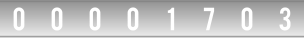 website page counter