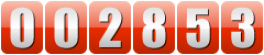 website counter