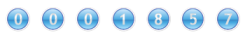 website hit counter