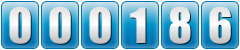 website hits counter