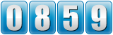 website counter