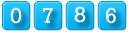 page hit counter