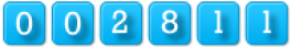 website counter