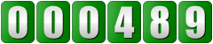 website counter
