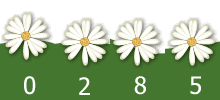 free website counter