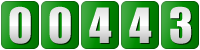 page counter