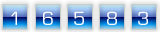 website counter