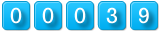 web counters