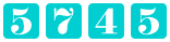 website hit counter
