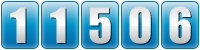 website hit counter