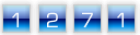 hits counter