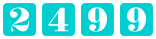 website counter