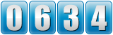 website hit counter